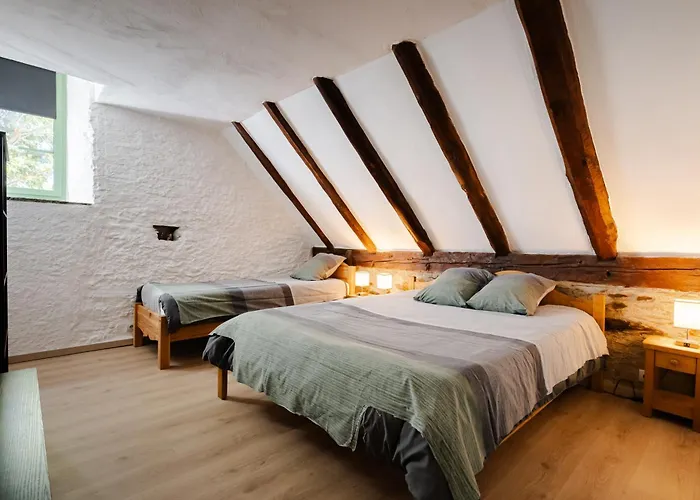 Grange Rénovée En Gîte/maison/chalet *