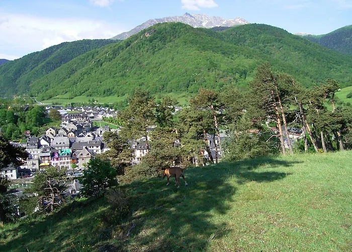 Hébergement de vacances Grange Rénovée En Gîte/maison/chalet Arreau