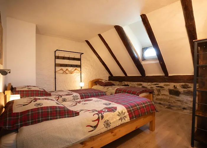 Grange Renovee En Gite/maison/chalet